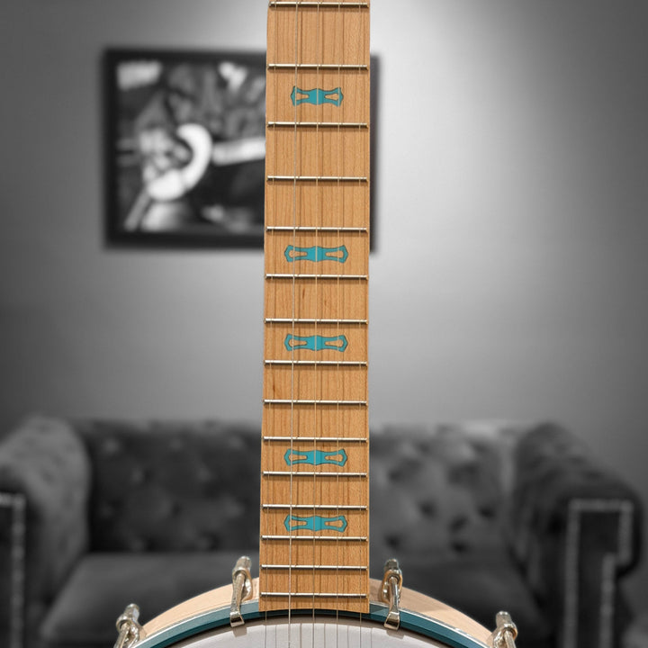 Close-up of a banjo neck with wooden fretboard and metal tuning pegs against a blurred background.