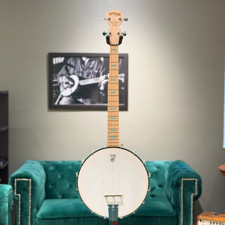 Banjo on a teal couch with a framed picture of a guitar in the background