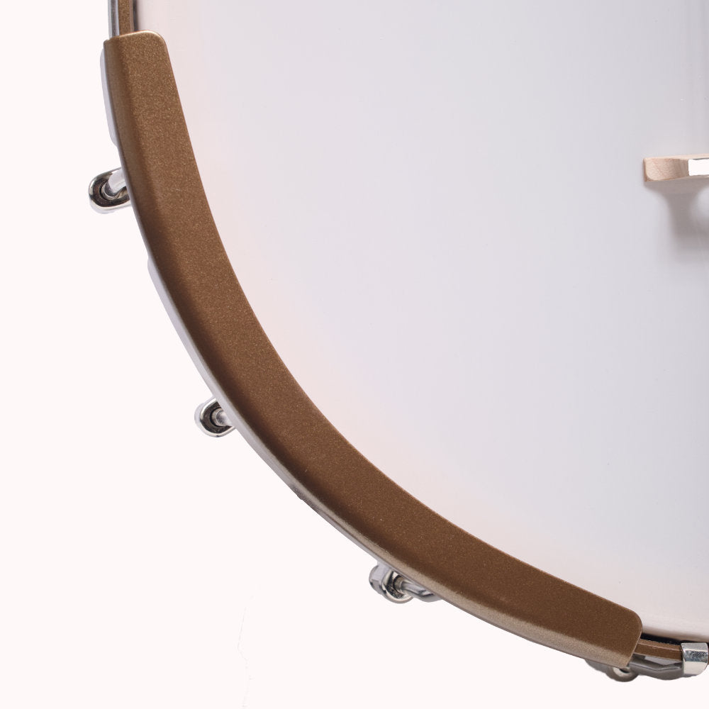 Goodtime Plectrum Banjo