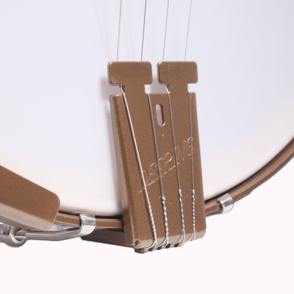Goodtime Plectrum Banjo