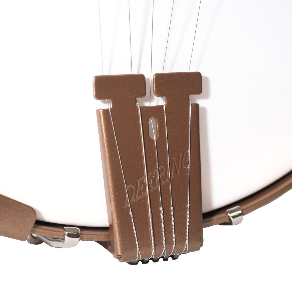 New 2025 Goodtime 5-String Banjo - tailpiece 2