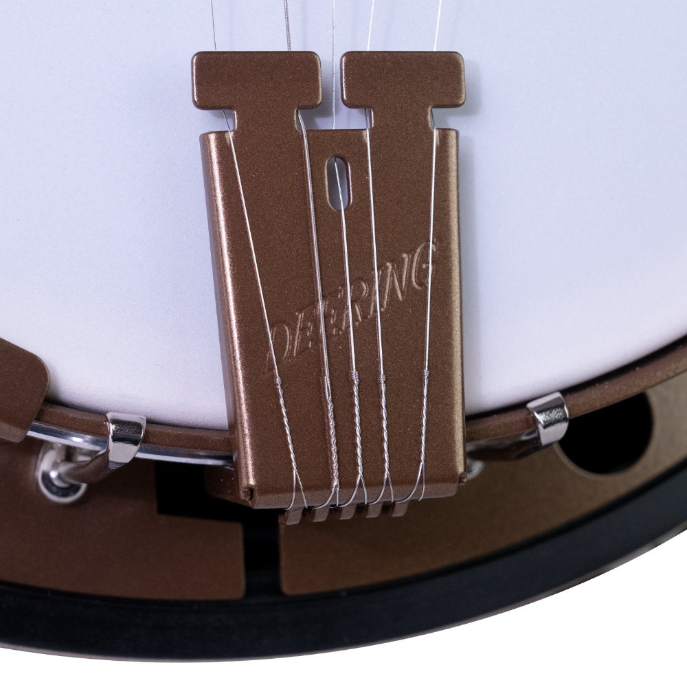 Goodtime Two Deco 5-String Banjo