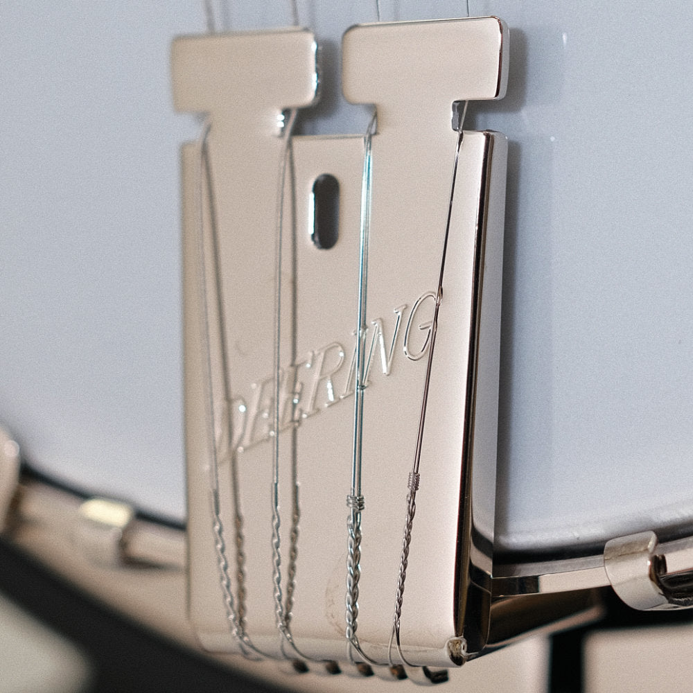 Artisan Goodtime® Special 19 Fret Tenor Banjo