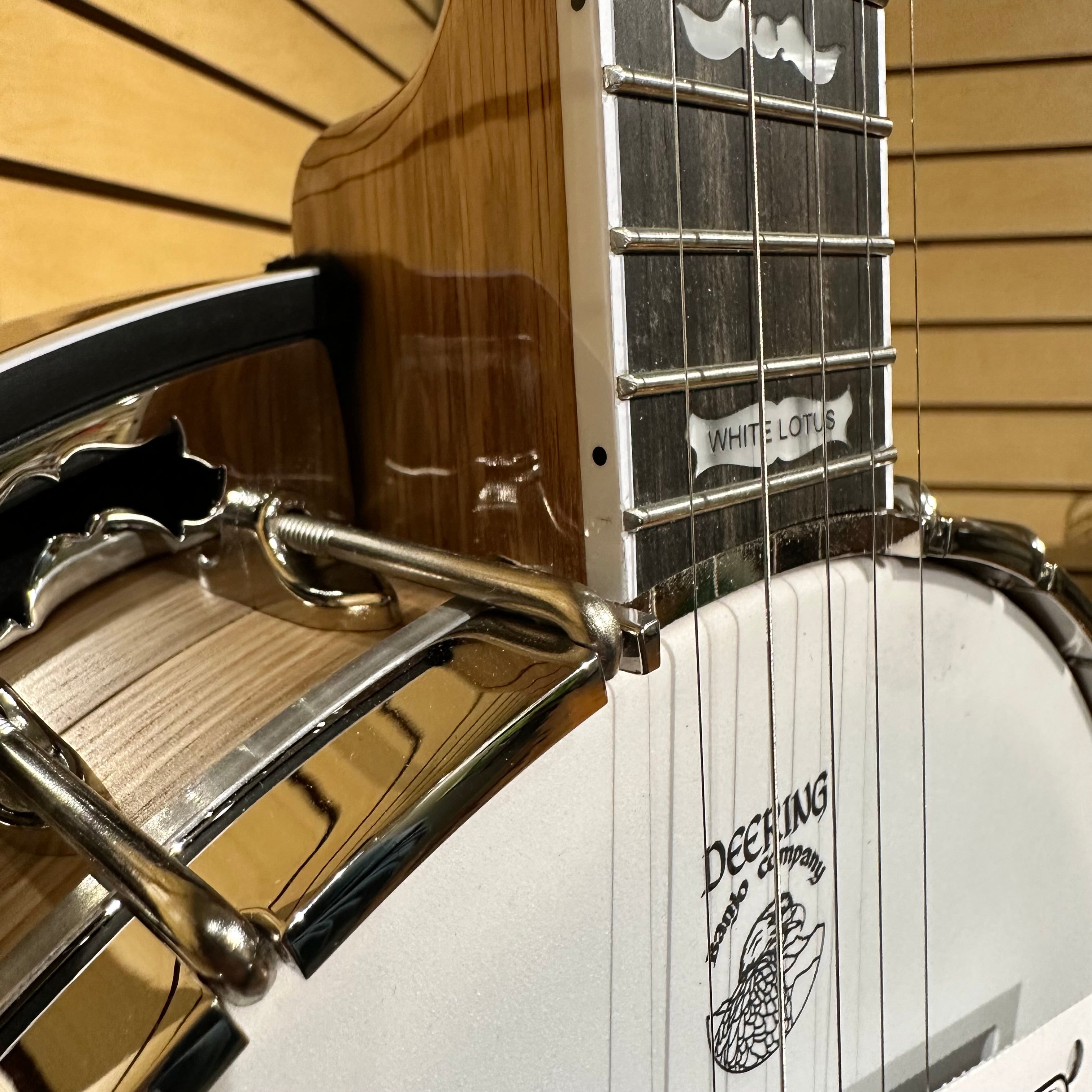 White Lotus | Showroom Banjo