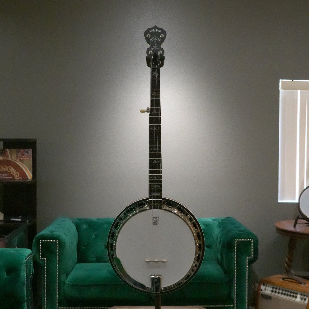 Banjo in front of green couch and gray wall