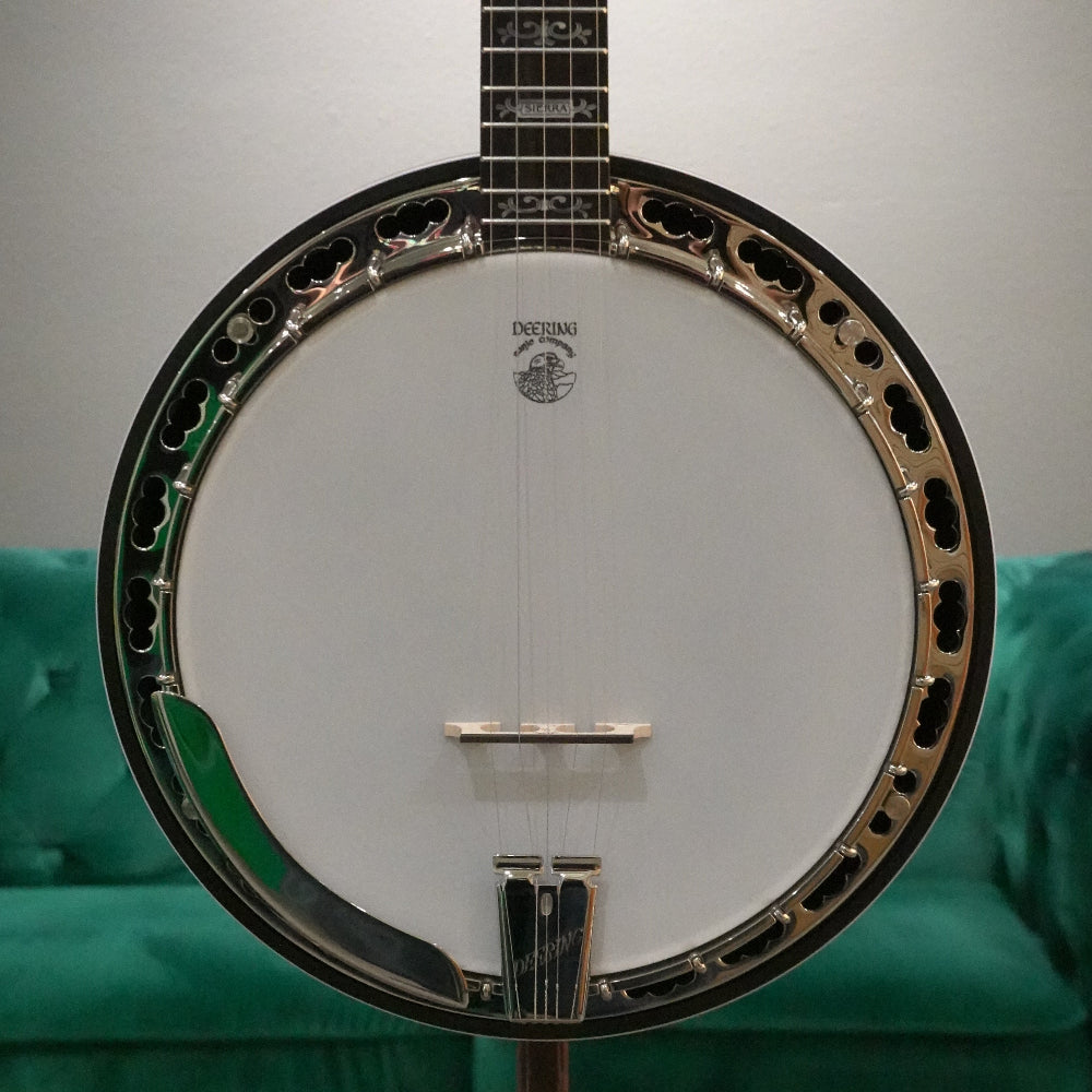 Banjo in front of green couch and gray wall