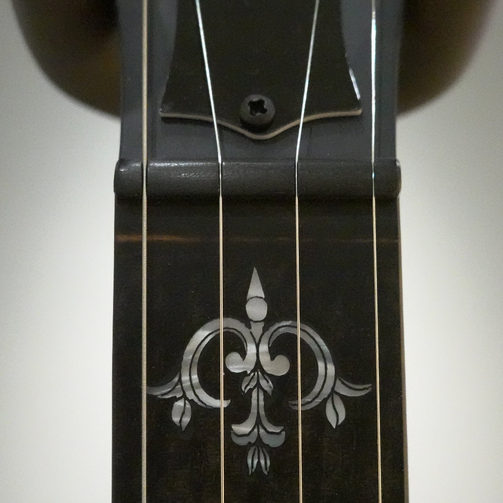 Close up of banjo neck at the nut and 1st fret.