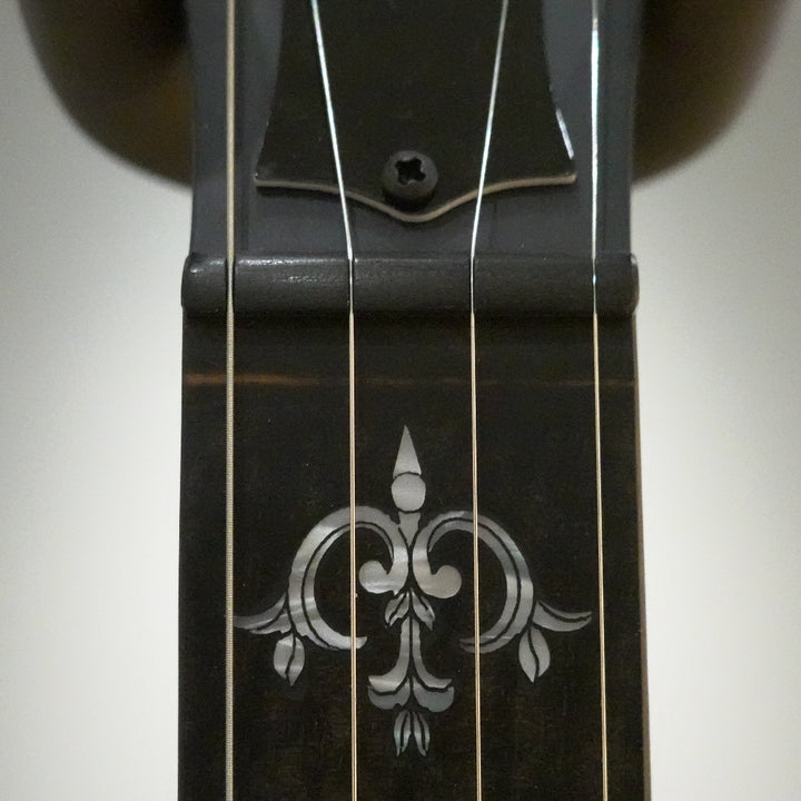 Close up of banjo neck at the nut and 1st fret.