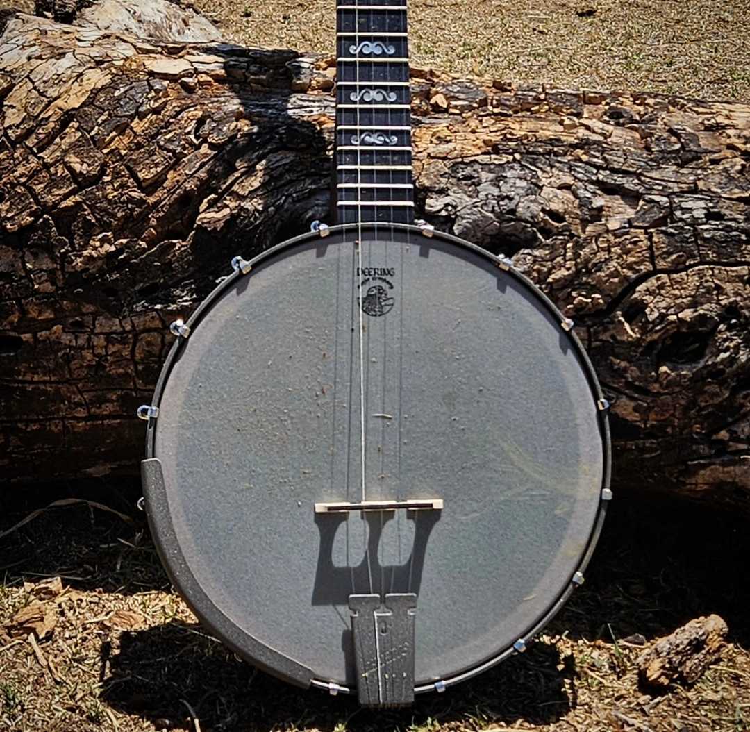 2024 Giving Tuesday Elephant Artisan Goodtime 5-String Banjo