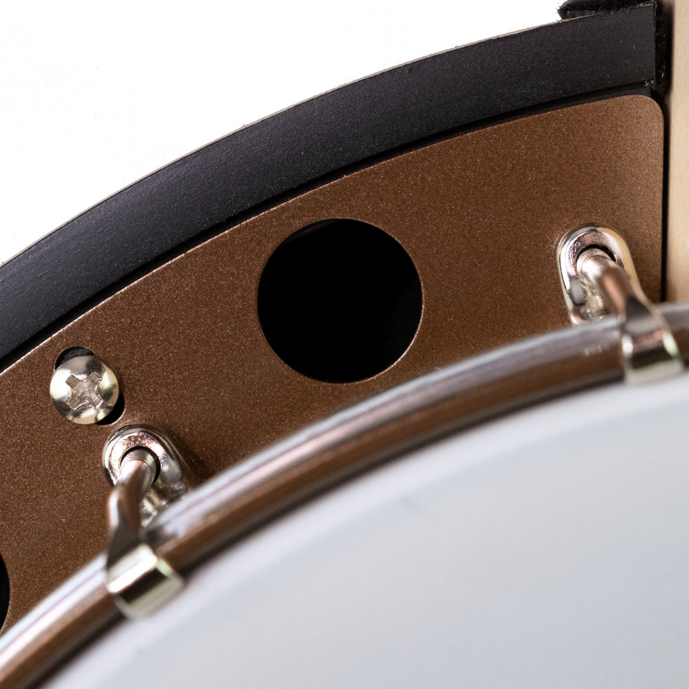 Goodtime Special Deco 5-String Banjo
