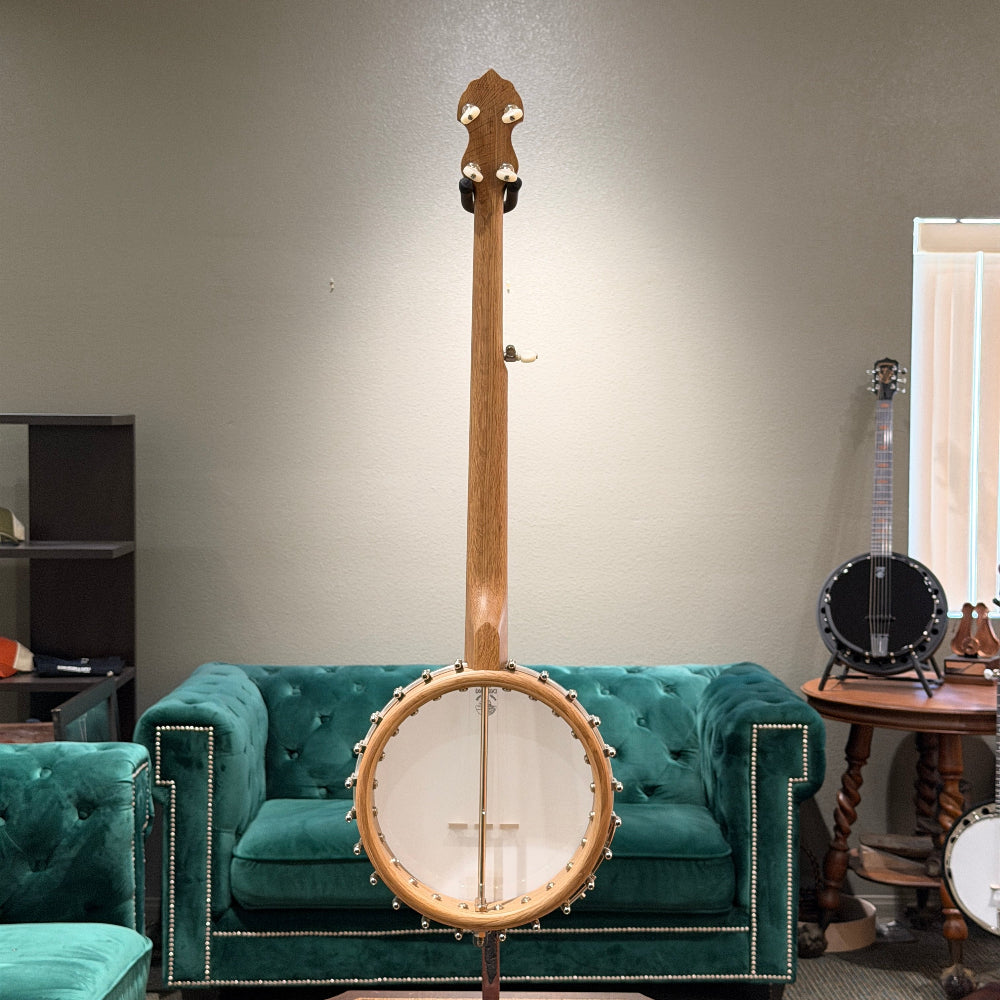 stringed instrument in front of a gray wall and green couch. 