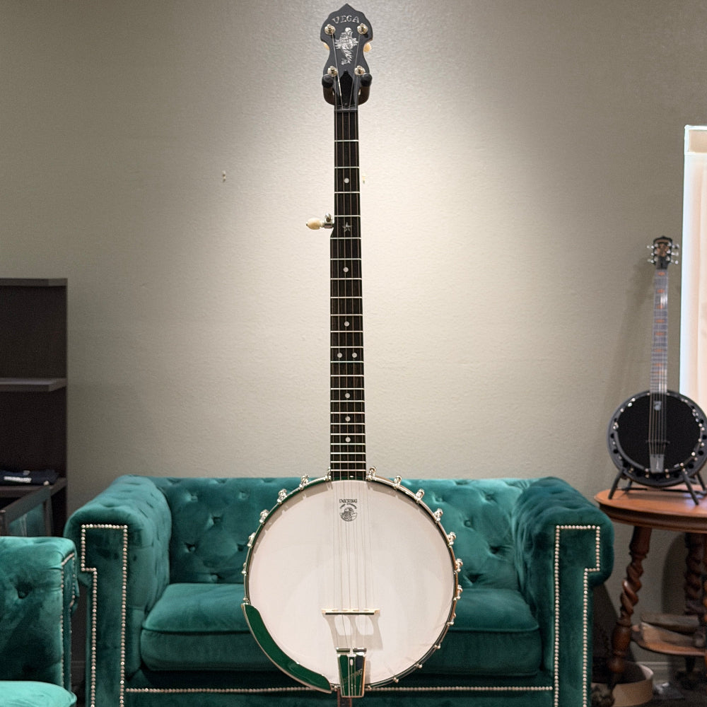 stringed instrument in front of a gray wall and green couch. 