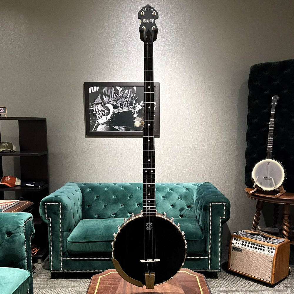 banjo in front of couch and grey wall