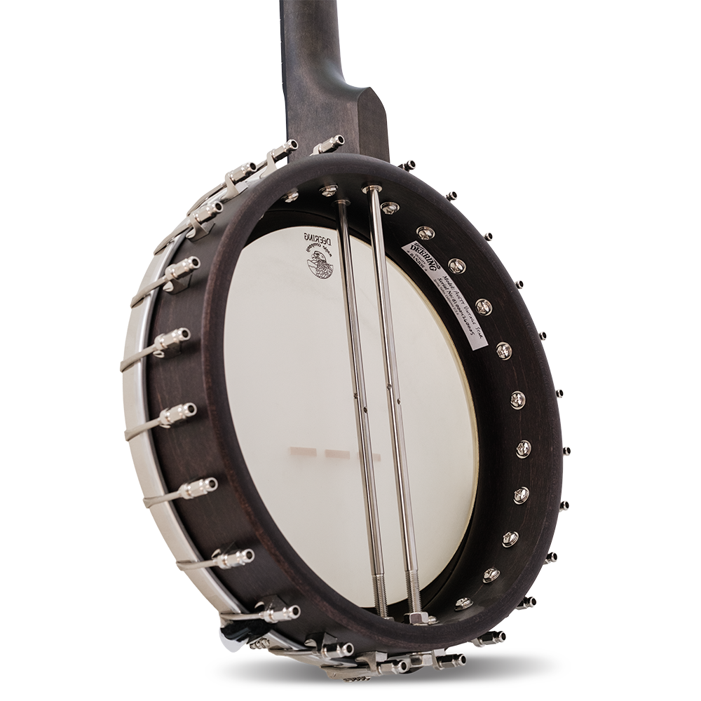The Vega Avett Star Signature Banjo