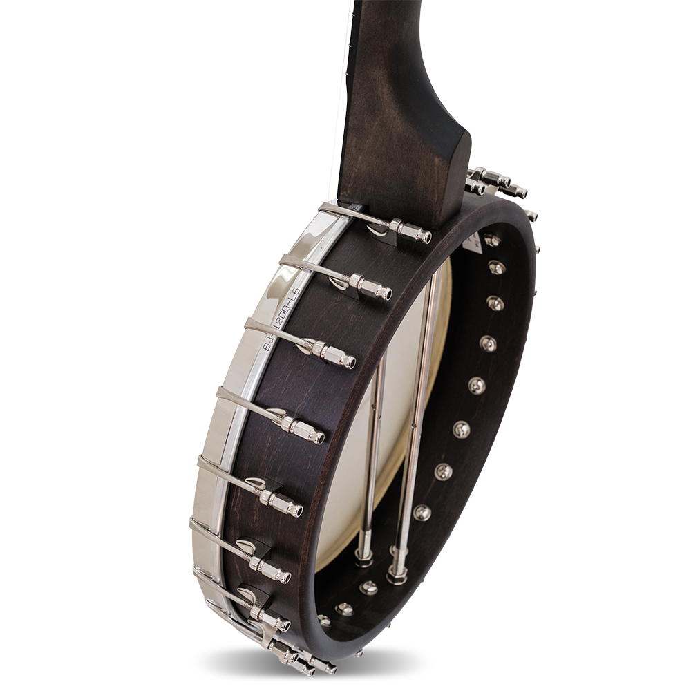 The Vega Avett Star Signature Banjo