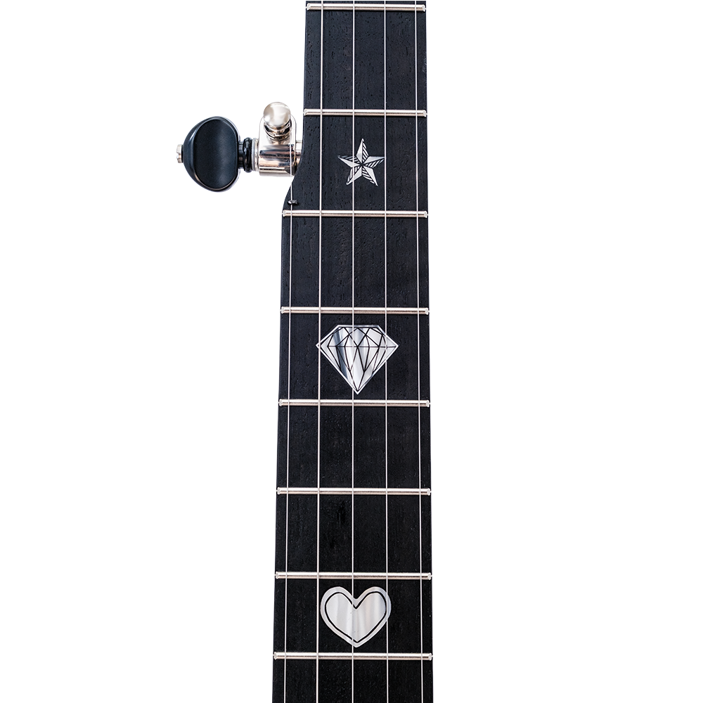 The Vega Avett Star Signature Banjo