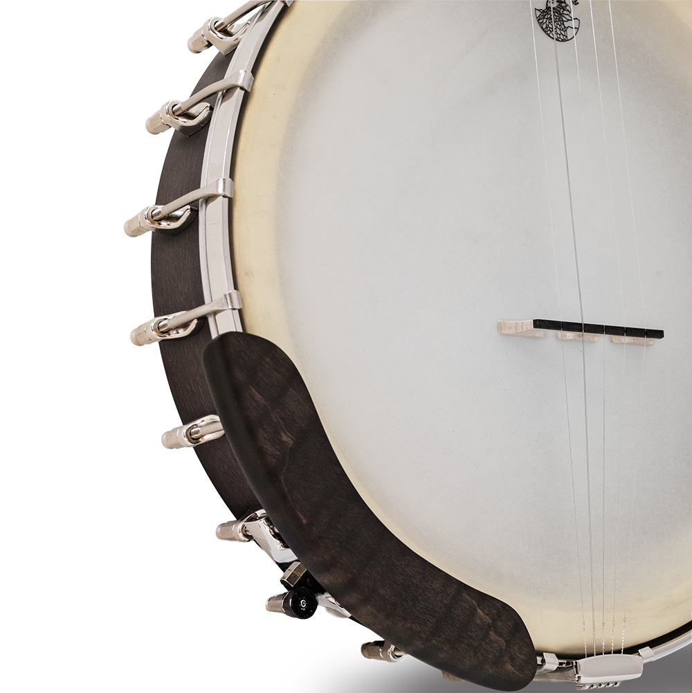 The Vega Avett Star Signature Banjo