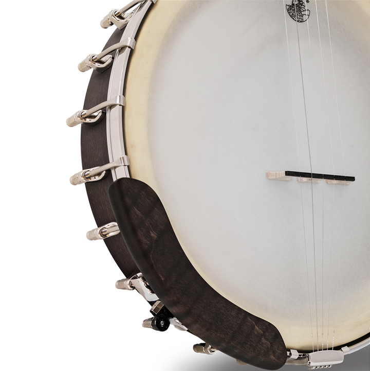 The Vega Avett Star Signature Banjo
