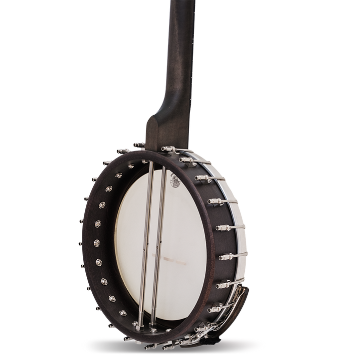 The Vega Avett Star Signature Banjo