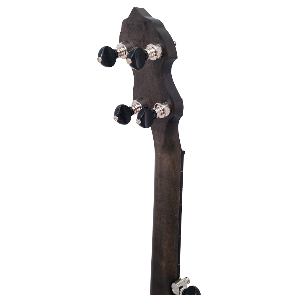 The Vega Avett Star Signature Banjo