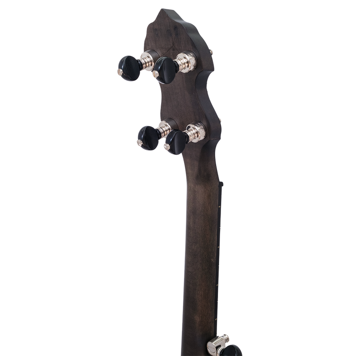 The Vega Avett Star Signature Banjo