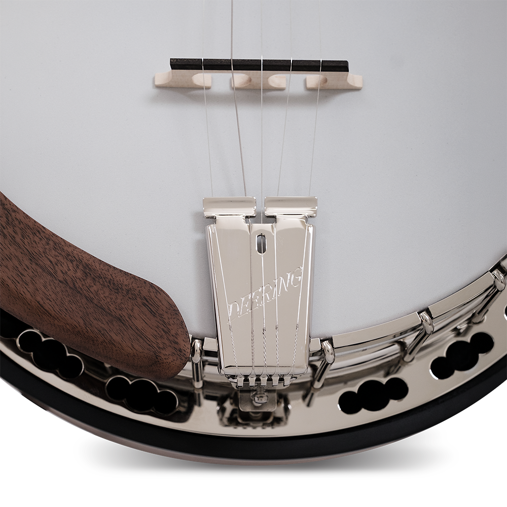 The Scott Avett "Truth" Signature Banjo