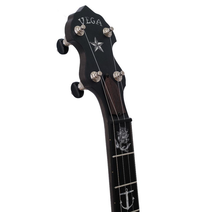front peghead shot of the scott avett avett star deering banjo