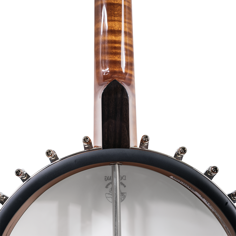 Vega® Dragon Star Banjo