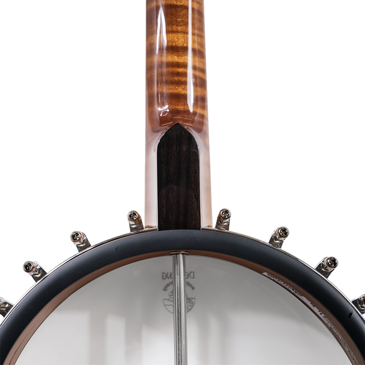 Vega® Dragon Star Banjo