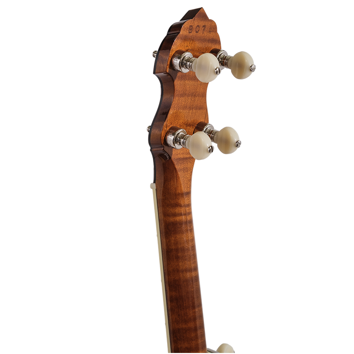 Vega® Dragon Star Banjo