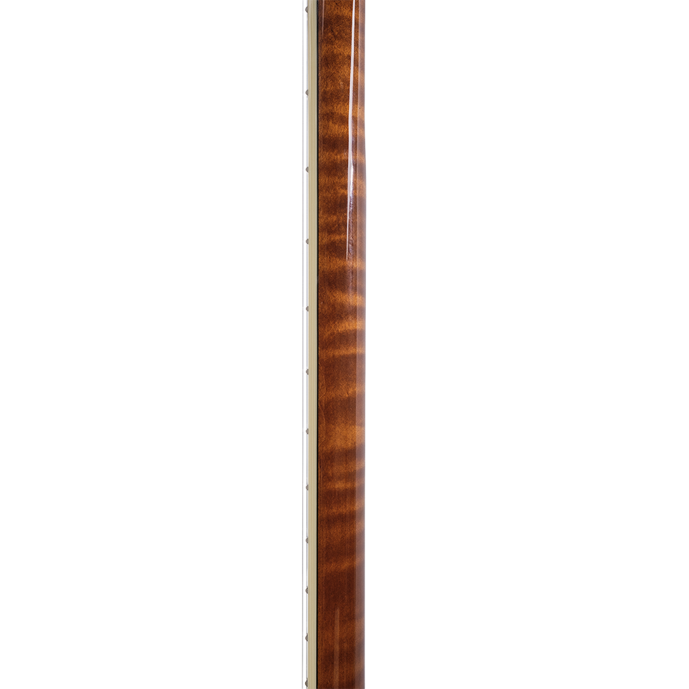 Vega® Dragon Star Banjo