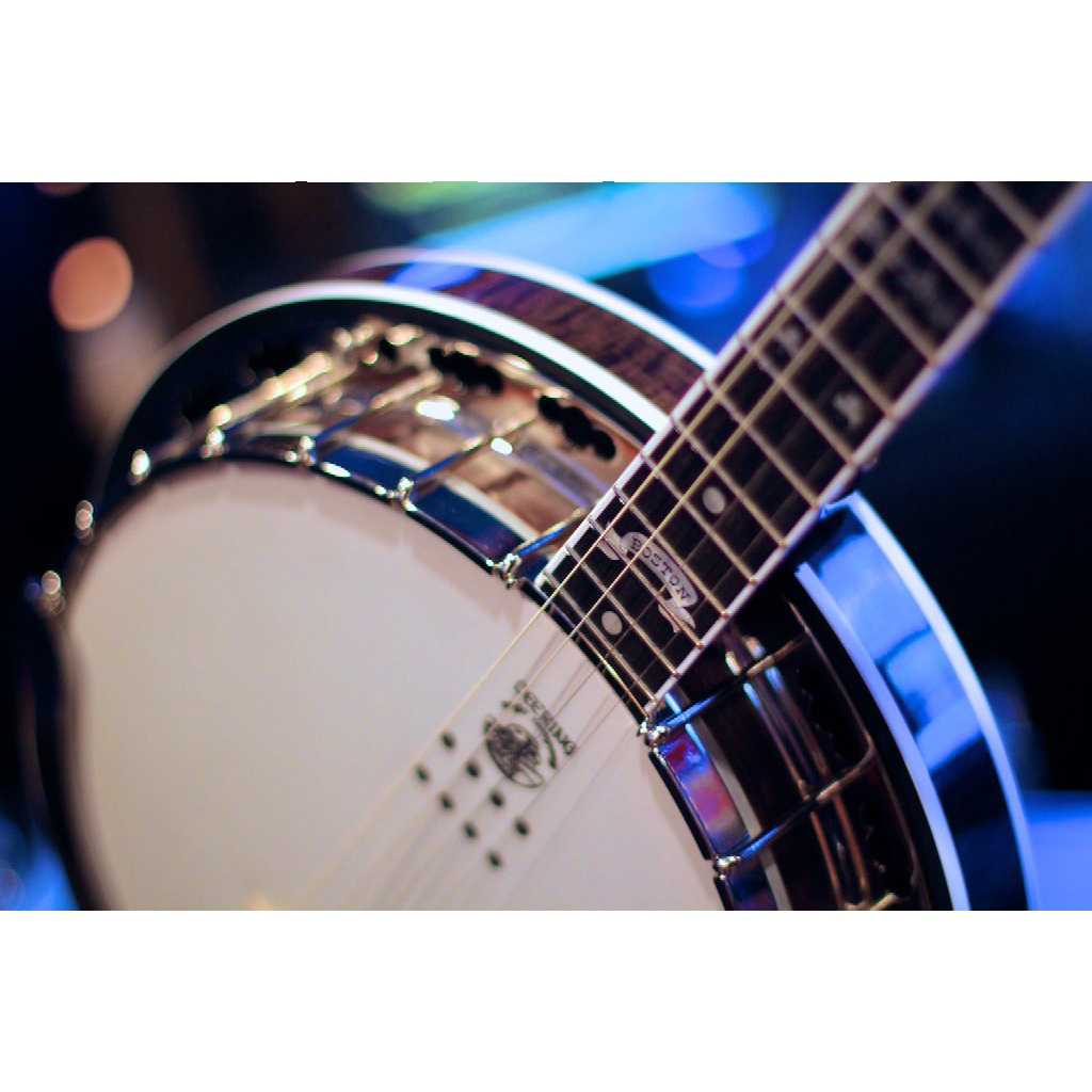 Deering Dropkick Murphys Tenor Banjo