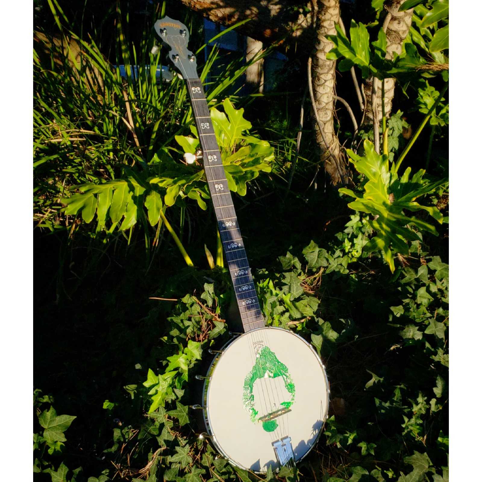 African Elephant Goodtime Charity Banjo