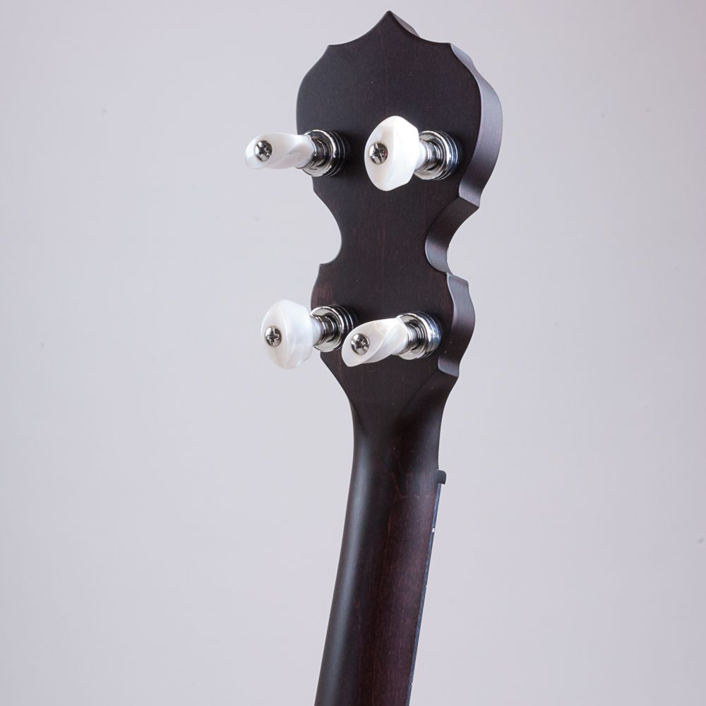 Artisan Goodtime Special 17 Fret Tenor Banjo