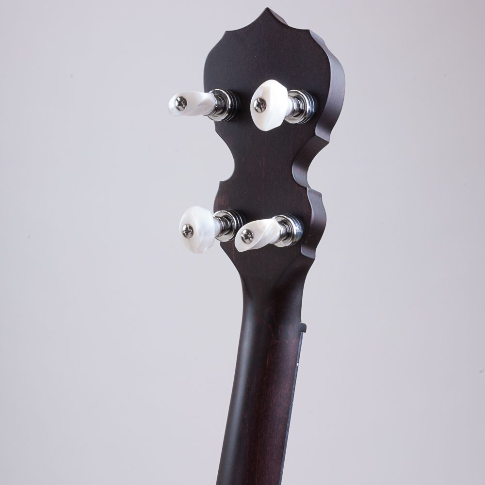 Artisan Goodtime® Special 19 Fret Tenor Banjo