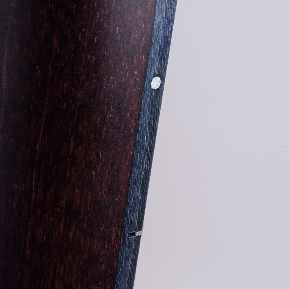 Artisan Goodtime® Special 19 Fret Tenor Banjo