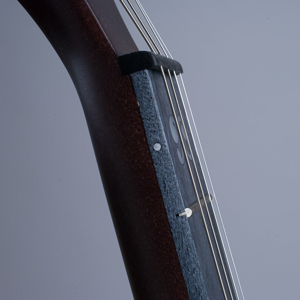 Artisan Goodtime® Special 19 Fret Tenor Banjo