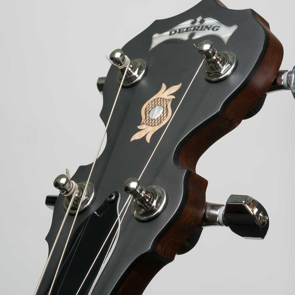 Deering Boston 17-Fret Tenor Banjo - peghead front close