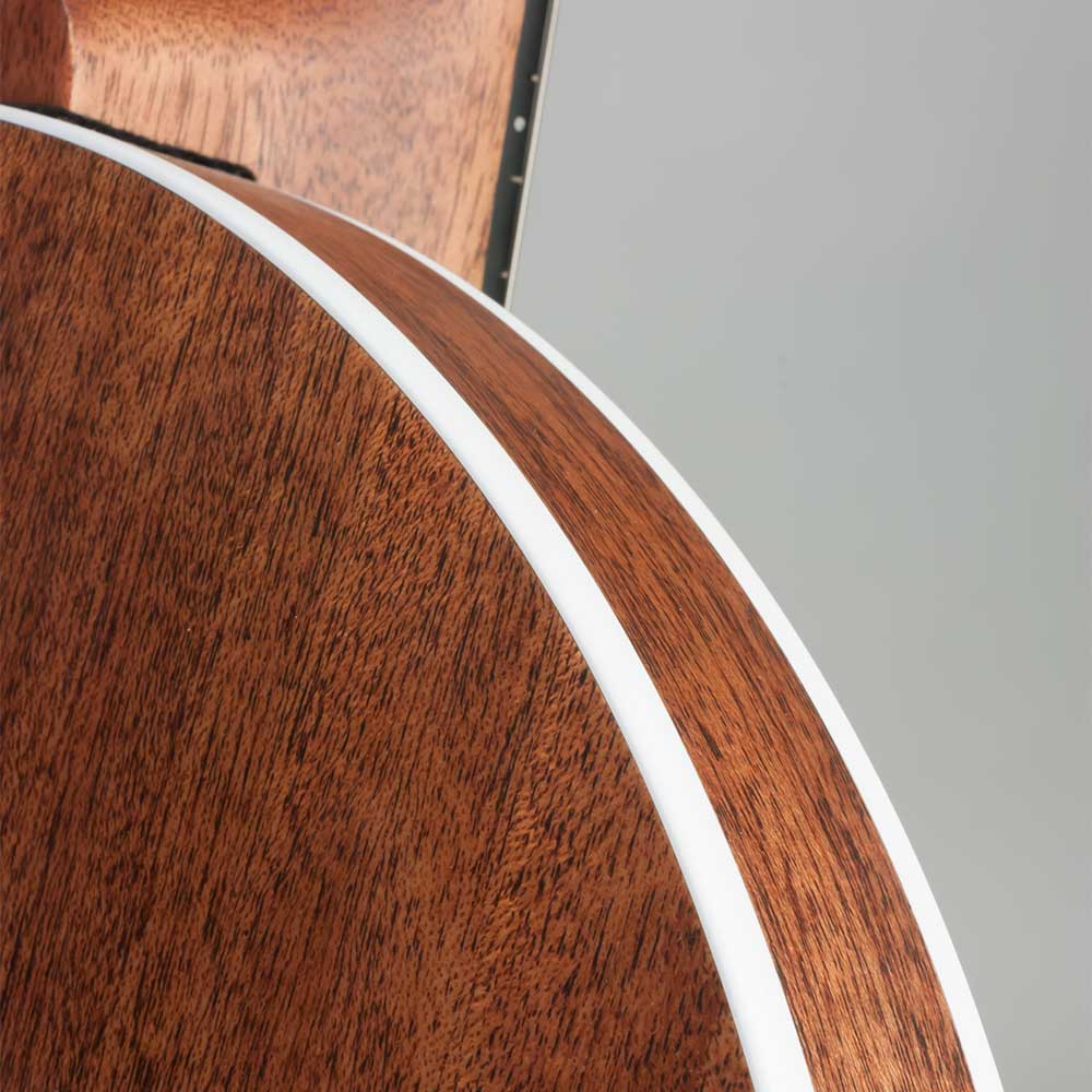 Deering Boston 6-String Banjo - resonator