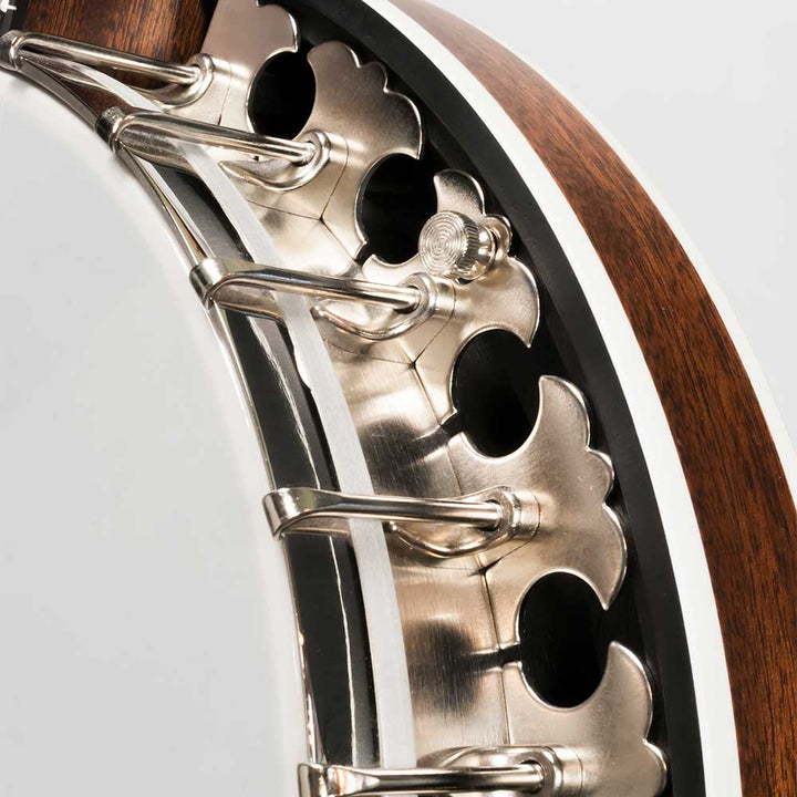 Deering Boston Plectrum - pot assembly close