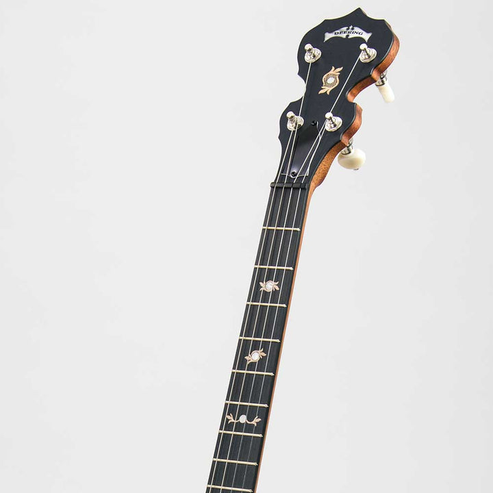 Deering Boston 17 Fret Tenor Banjo Neck