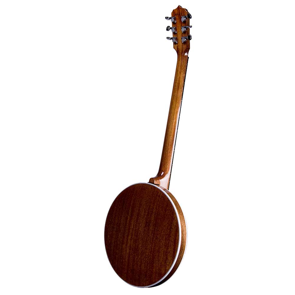 Deering Deluxe 6-String Banjo - back