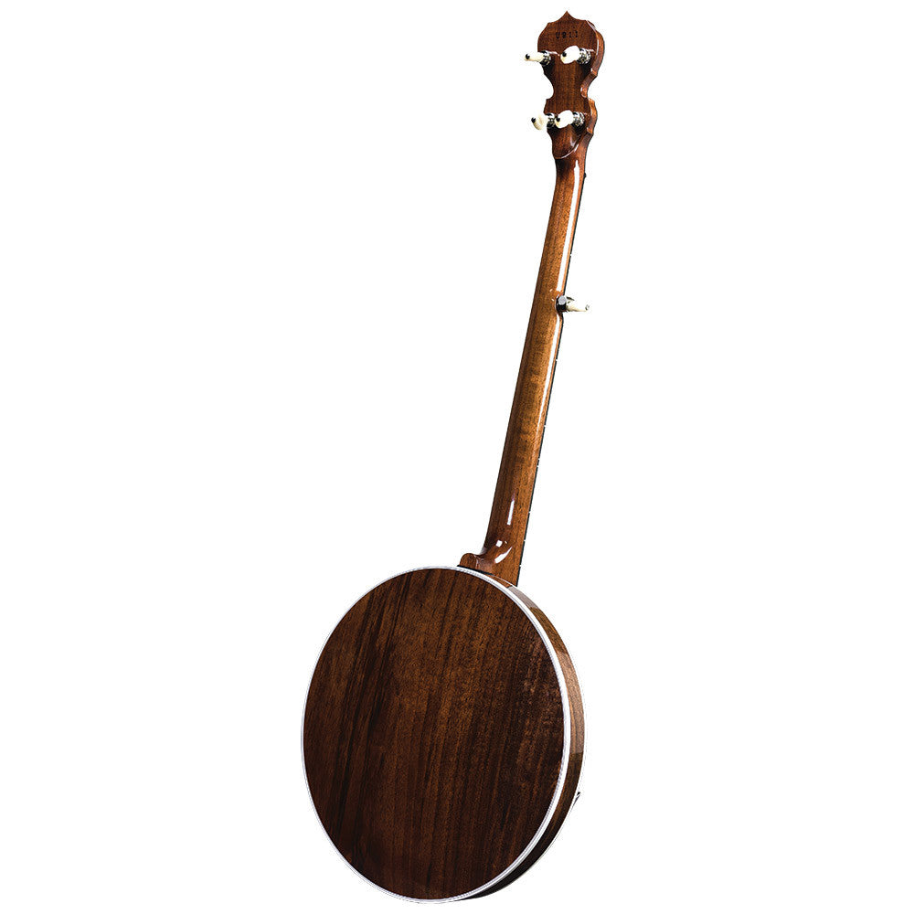 Deering Deluxe banjo - back