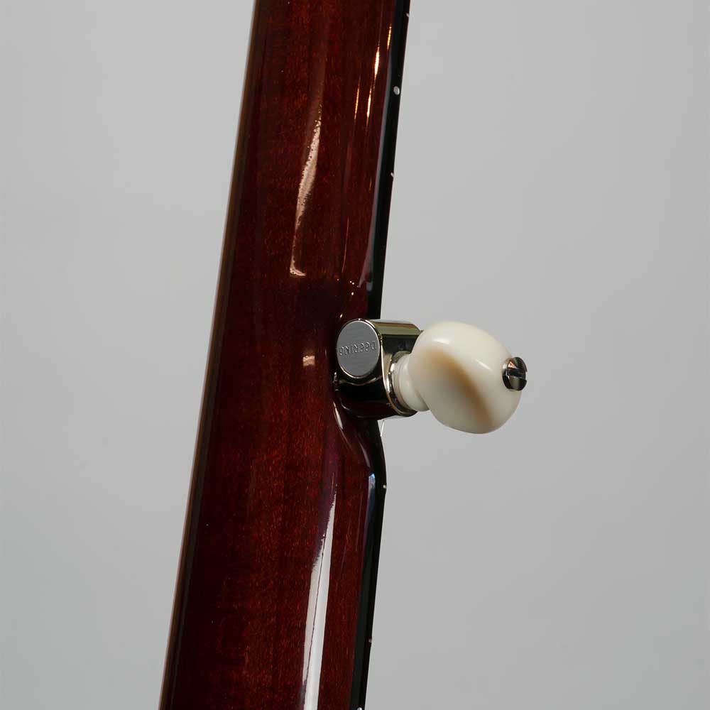 Deering Eagle II 5-String Banjo - neck back