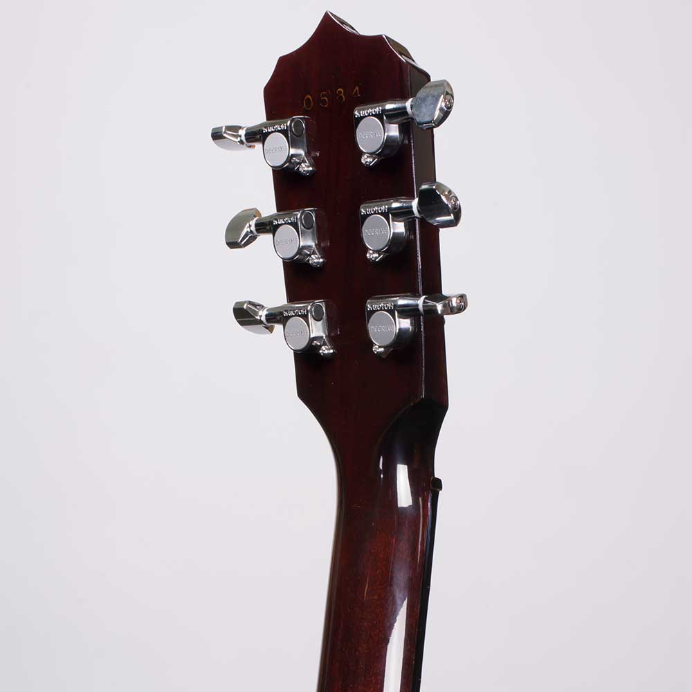 Deering Eagle II 6-String Banjo - peghead back