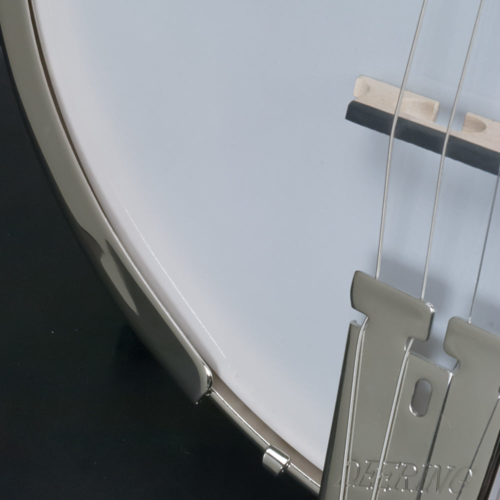 Goodtime Two Plectrum Banjo