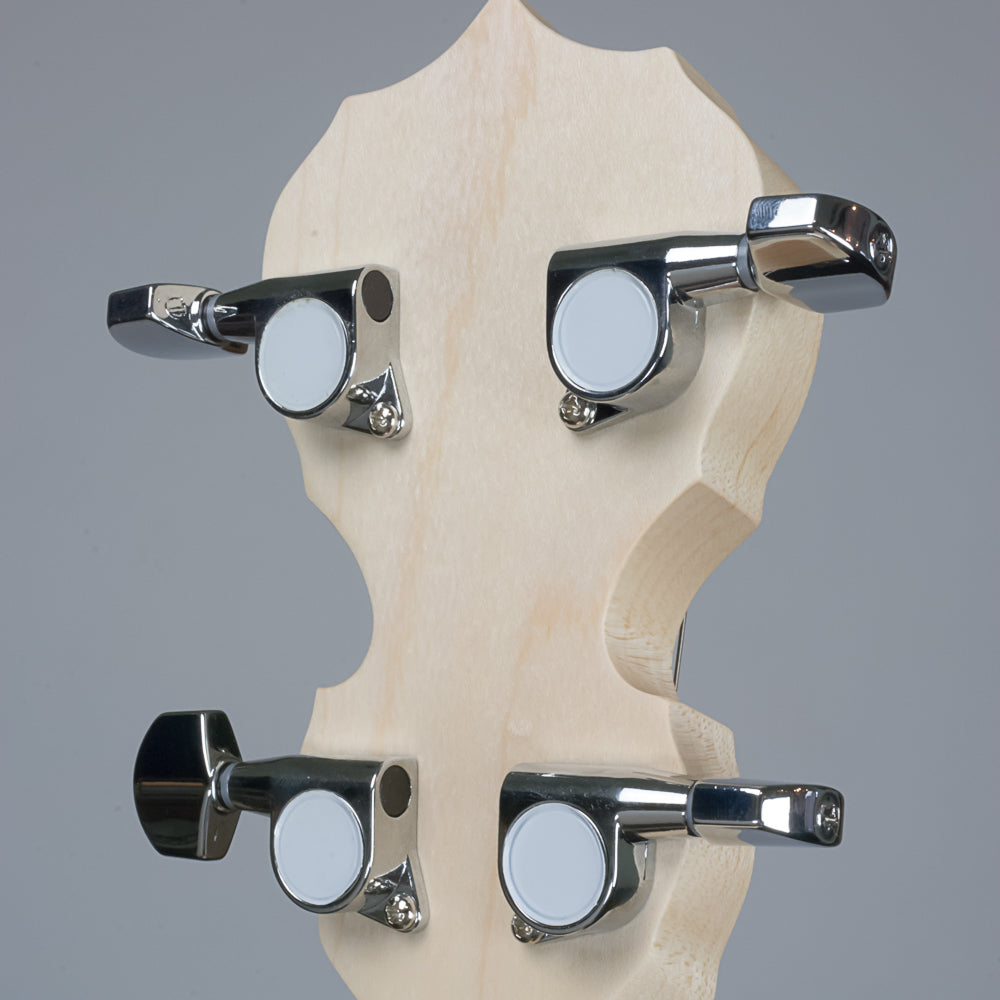 Goodtime Two Plectrum Banjo peghead and tuners back