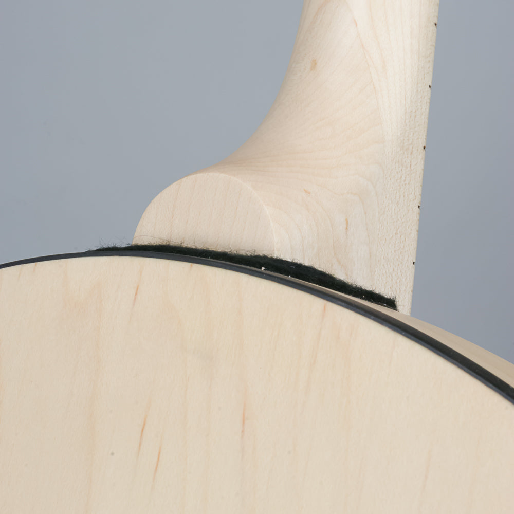 Goodtime Two Plectrum Banjo