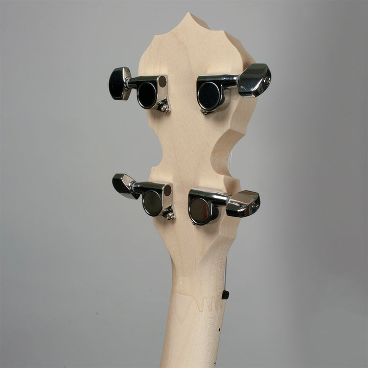 Goodtime Special 19-Fret Tenor Banjo