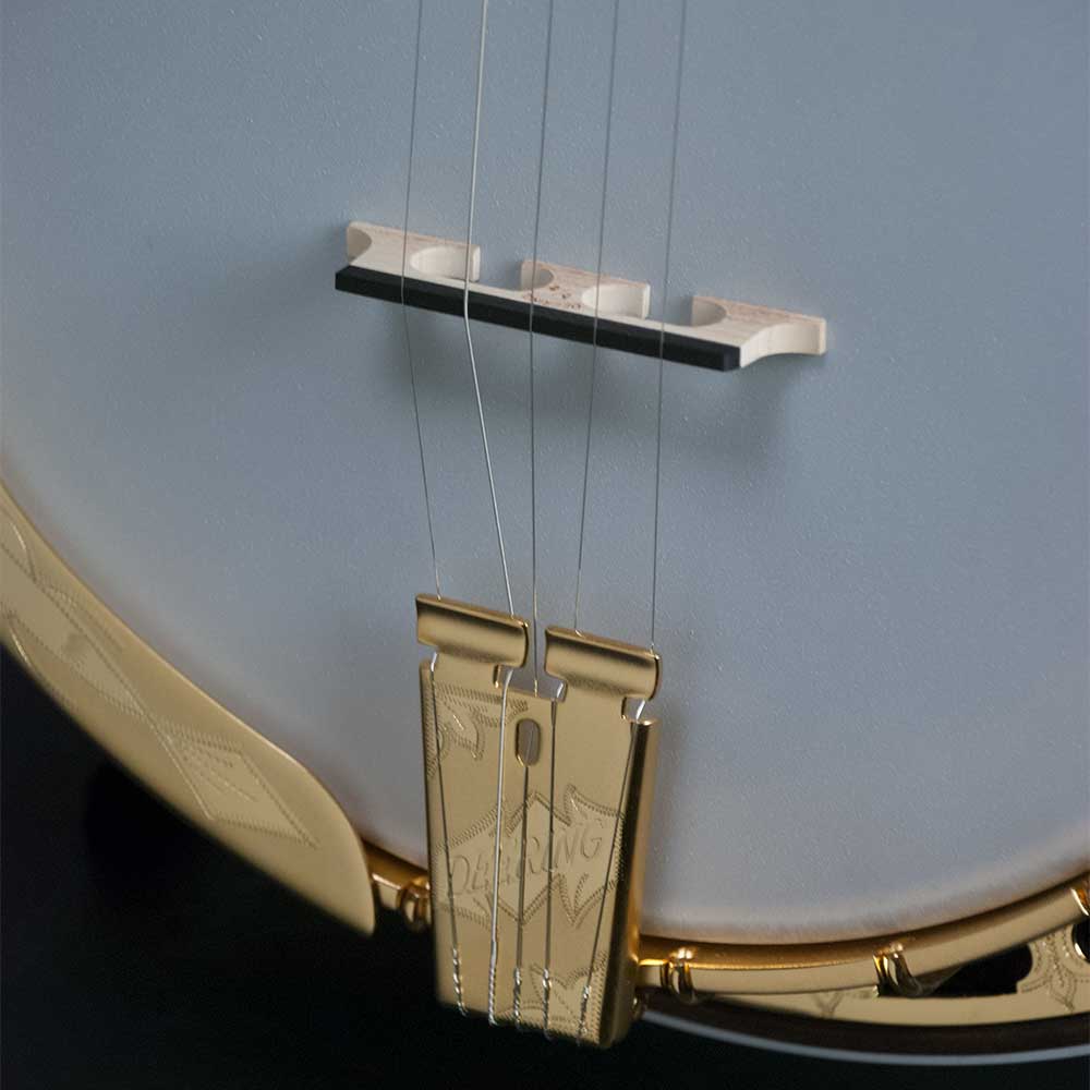 Deering Golden Classic 5-String Banjo - tailpiece close